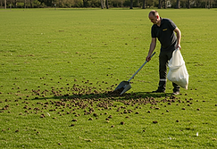 person collecting waste in bag: Geese waste removal service Butler County Ohio