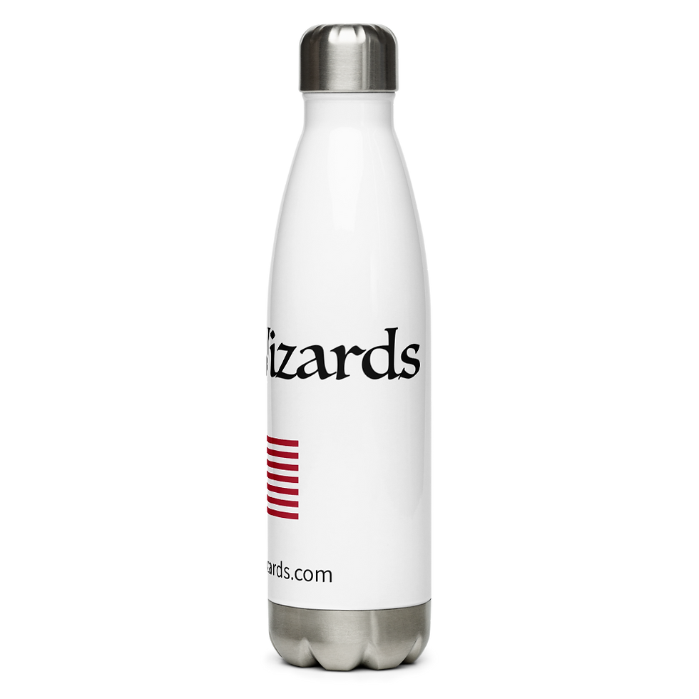 Thumbnail: FiberWizards Stainless Steel Water Bottle