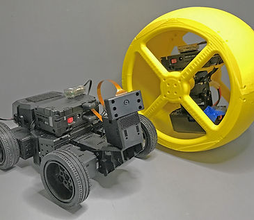 Fig3_50.jpg