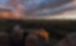 DSC_1442.JPG