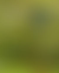 Clubabend am 18. August 2025