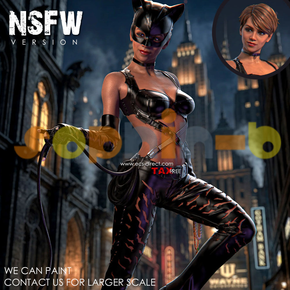 Halle Catwoman Black Cat NSFW 1:4 Model Kit Unpainted 3d Print Statue Figure