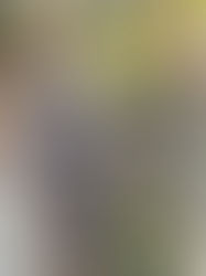 Katelyn & Andrew Wedding at A & M Gardens