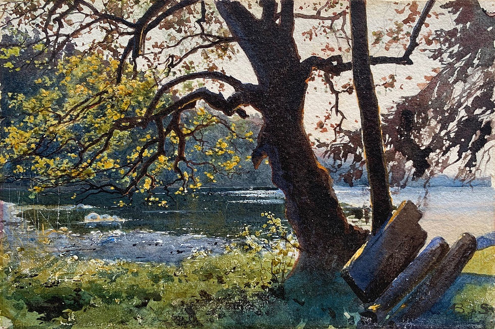 Summer Landscape from Stockholm