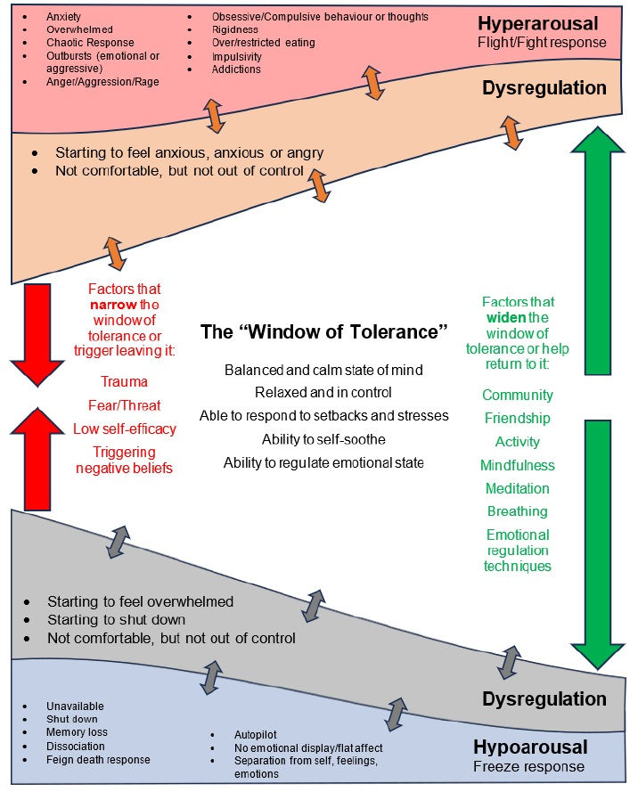 The window of tolerance and