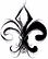 Fleur%20d'Lis%20_edited.jpg