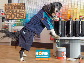 Tropics Home Hardware