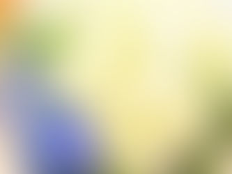 アトピー　その３　腸を改善しよう
