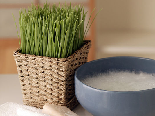 Top 10 tips to Detox your Home