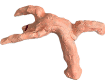 IMG_3211.png