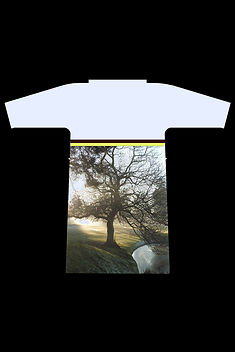 blue hever castle copy.jpg