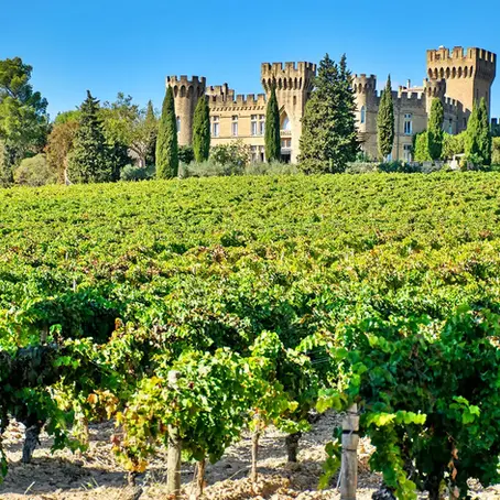 Wijngebied in vogelvlucht: de Rhône