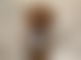 Shamrock: Our Mini Goldendoodle Stud at Golden Life Doodles