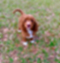 IMG_1193_edited.jpg