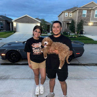 F1bb Goldendoodle for sale in Houston, F1bb Goldendoodles for sale, F1b Goldendoodles for sale,
F1bb Goldendoodle for sale, F1b Goldendoodle for sale, F1bb Mini Goldendoodle for sale,
F1bb Mini Goldendoodles for sale,
F1b Mini Goldendoodles for sale, F1b Mini Goldendoodle for sale, Mini Goldendoodles for sale near me, Medium Goldendoodles for sale near me, Medium Goldendoodle puppies for sale near me, Standard Goldendoodles for sale near me, Tuxedo Goldendoodles for sale near me, Parti Goldendoodles for sale in Houston Texas, Goldendoodles for sale in Texas, Goldendoodle breeders in Houston Texas, Multi Gen Goldendoodles for sale near me, Doodles for sale near me, Doodle puppies for sales near me, Puppies for sale near me, Non shedding puppies for sale near me, Hypoallergenic puppies for sale near me, Goldendoodles for adoption near me, Goldendoodles for sale near me, Texas Goldendoodles for sale, Houston Goldendoodles for sale, Red Goldendoodles for sale near me