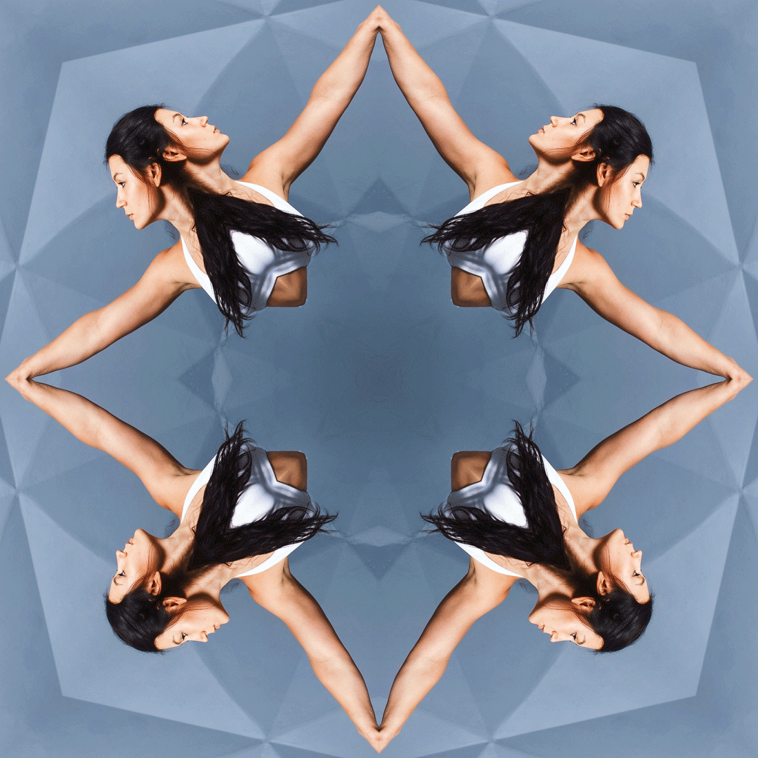 Ani-scopes_1100.gif