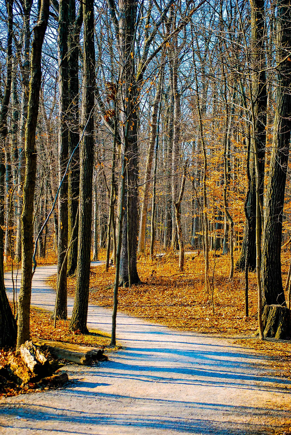 HIghbanks in the Fall...