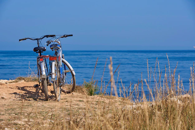 Fietstocht naar zee