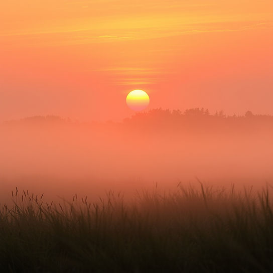 generate a sunrise and_or sunset with not other images with wet mist.jpg