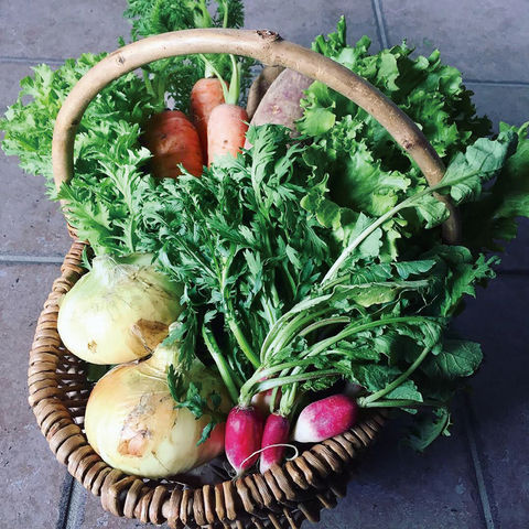 米島 よねしま 大阪 福島区/有機野菜・無農薬野菜・産直 果物