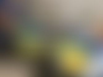 How Often Should a House in Geelong Be Professionally Cleaned?