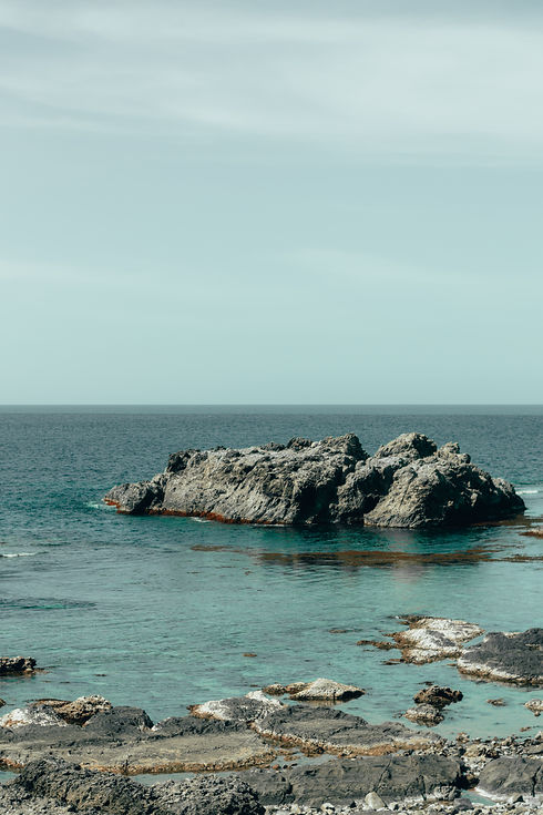 DSC_0815.jpg