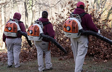 FALL CLEAN UPS