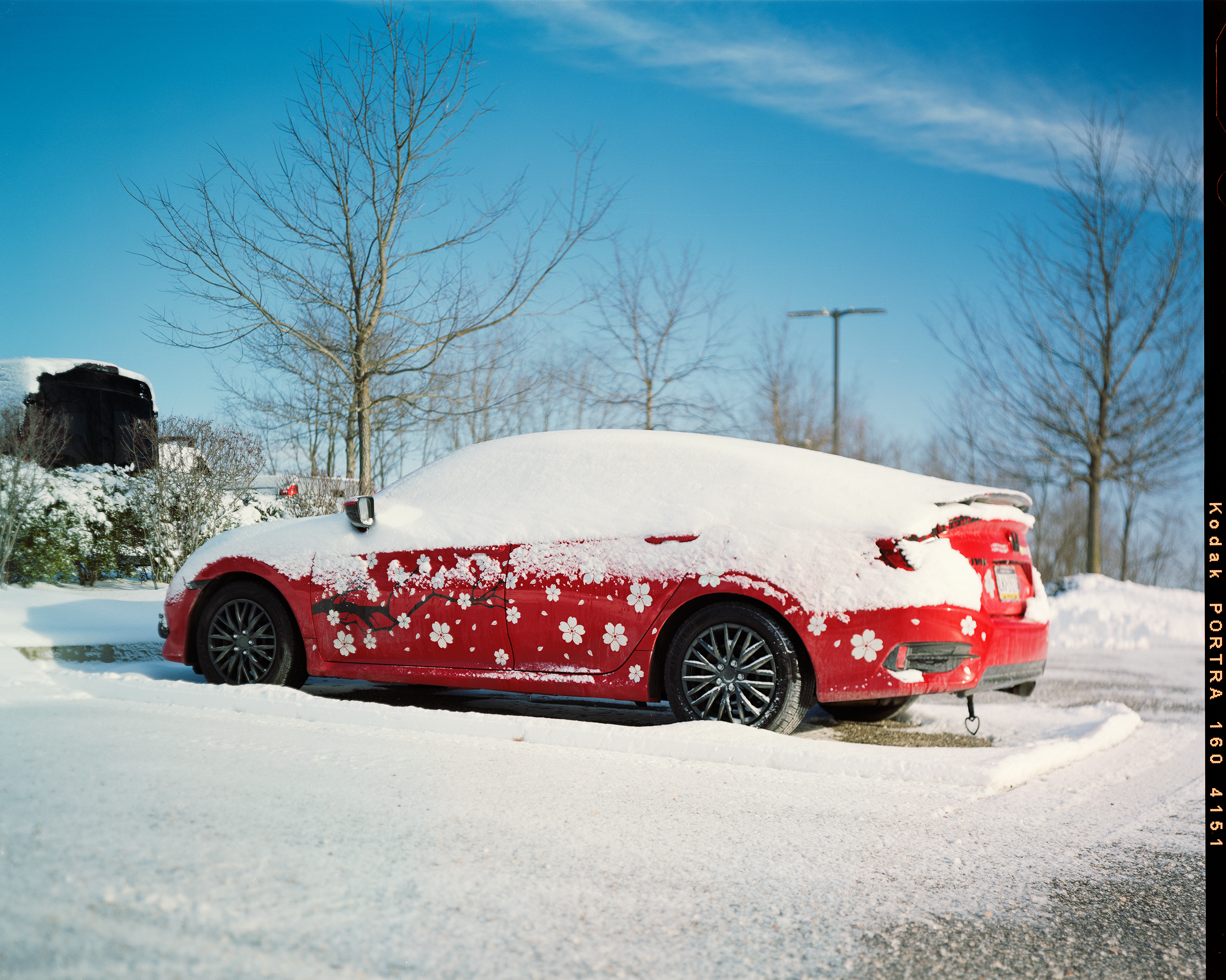 JOE BISSETT PHOTOGRAPHY