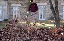 FALL CLEAN UPS