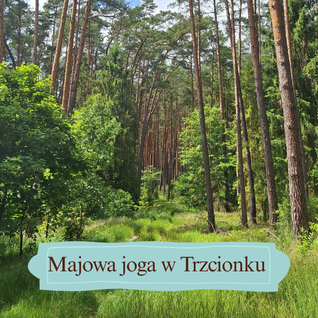 Warsztaty jogi z Agnieszką Wojtkowiak