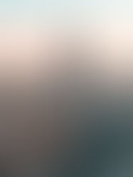 NYC’s Must-See Theater Shows: Broadway and Beyond