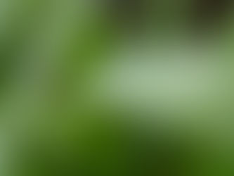 Accueillir la vie, comme elle vient 💦💙🐳