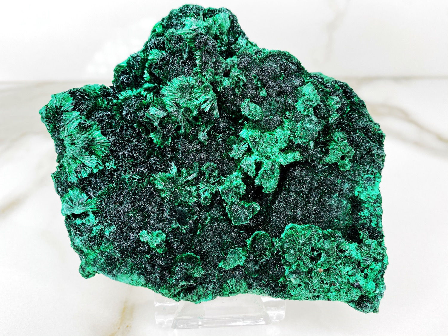 Velvet Malachite
