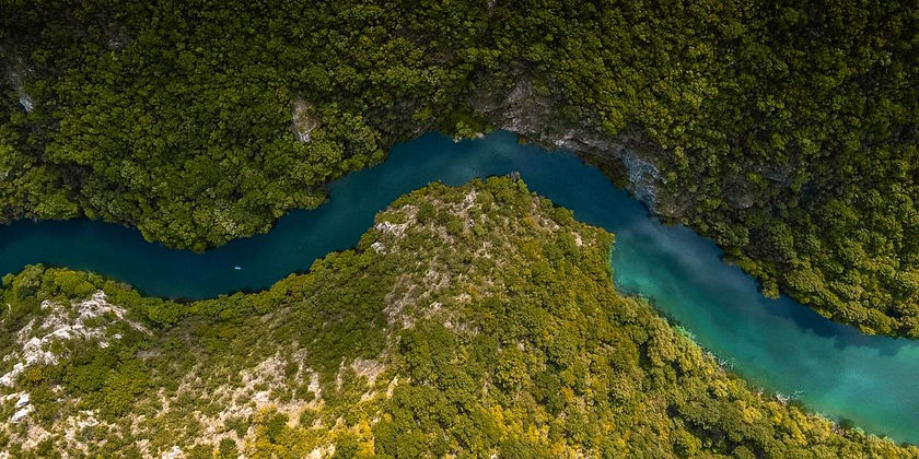 river-trees.jpg