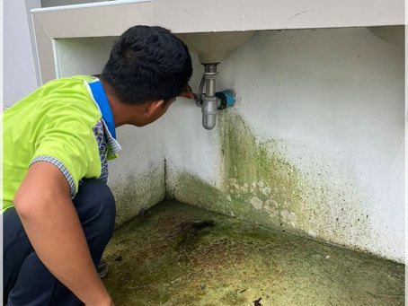 กองช่าง องค์การบริหารส่วนตำบลดงมะรุม พร้อมด้วยนักศึกษาฝึกงาน ซ่อมแซมอ่างล้างมือห้องน้ำศูนย์บริการคนพิการ