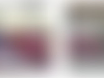 สรุปผลการดำเนินการเพื่อเปิดโอกาสให้บุคคลภายนอกได้มีส่วนร่วมในการดำเนินงานขององค์การบริหารส่วนตำบลดงมะรุม ประำปีงบประมาณ ๒๕๖๗