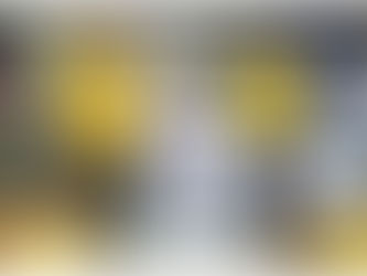 โครงการป้องกันควบคุมโรคไข้เลือดออก