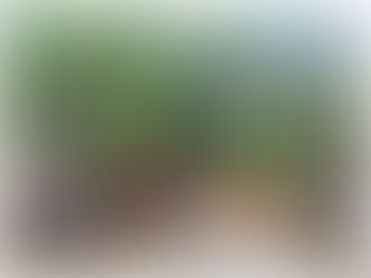 ฝ่ายป้องกัน องค์การบริหารส่วนตำบลดงมะรุม ได้ดำเนินการบริการน้ำเพื่อการอุปโภคบริโภคให้กับประชาชน หมู่ที ๑ บ้านเกาะรี