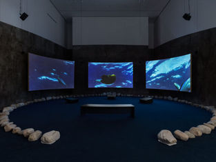 Projects: Dineo Seshee Bopape opens at the The Museum of Modern Art