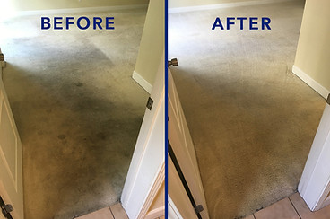 Carpet Cleaning Service