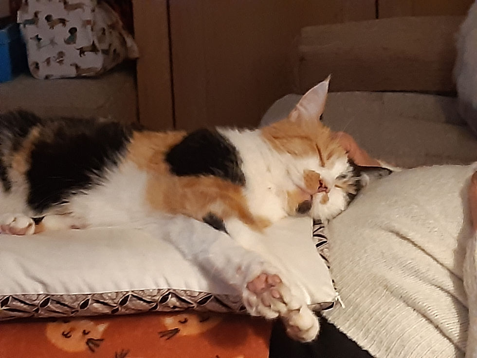 My inspiration tells me she’s taking Christmas off!