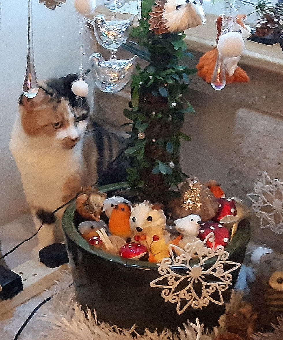 She says she’s found other entertainment