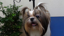 DSC01893.JPG