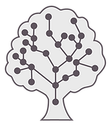arbol.png