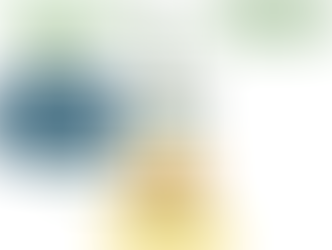 From negotiation to implementation: NGOs as catalysts of climate action