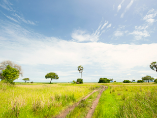 Scaling up climate action & rural development to the required level over the next decisive decade