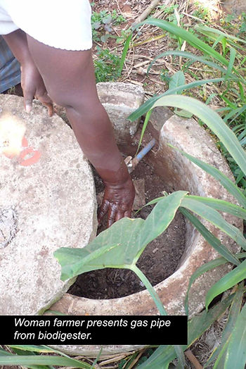 Woman farmer presents gas pipe from biodigester