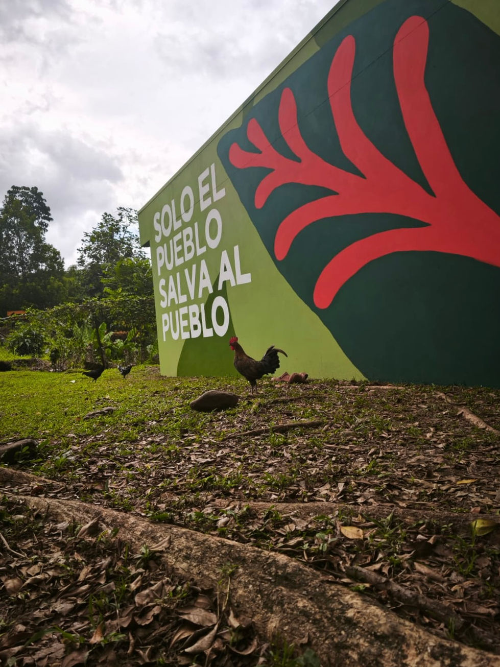 7032b78e-1c05-4583-a132-f17fcba56edf