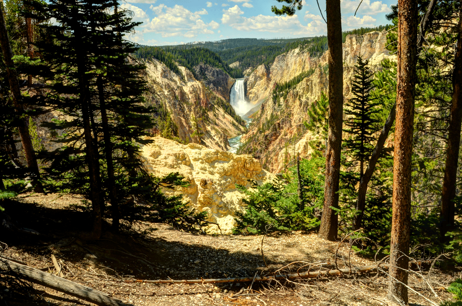 Yellowstone-Falls