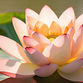 3f5fb044-046d-4e3d-b4b9-bd9bf27f15a5.png